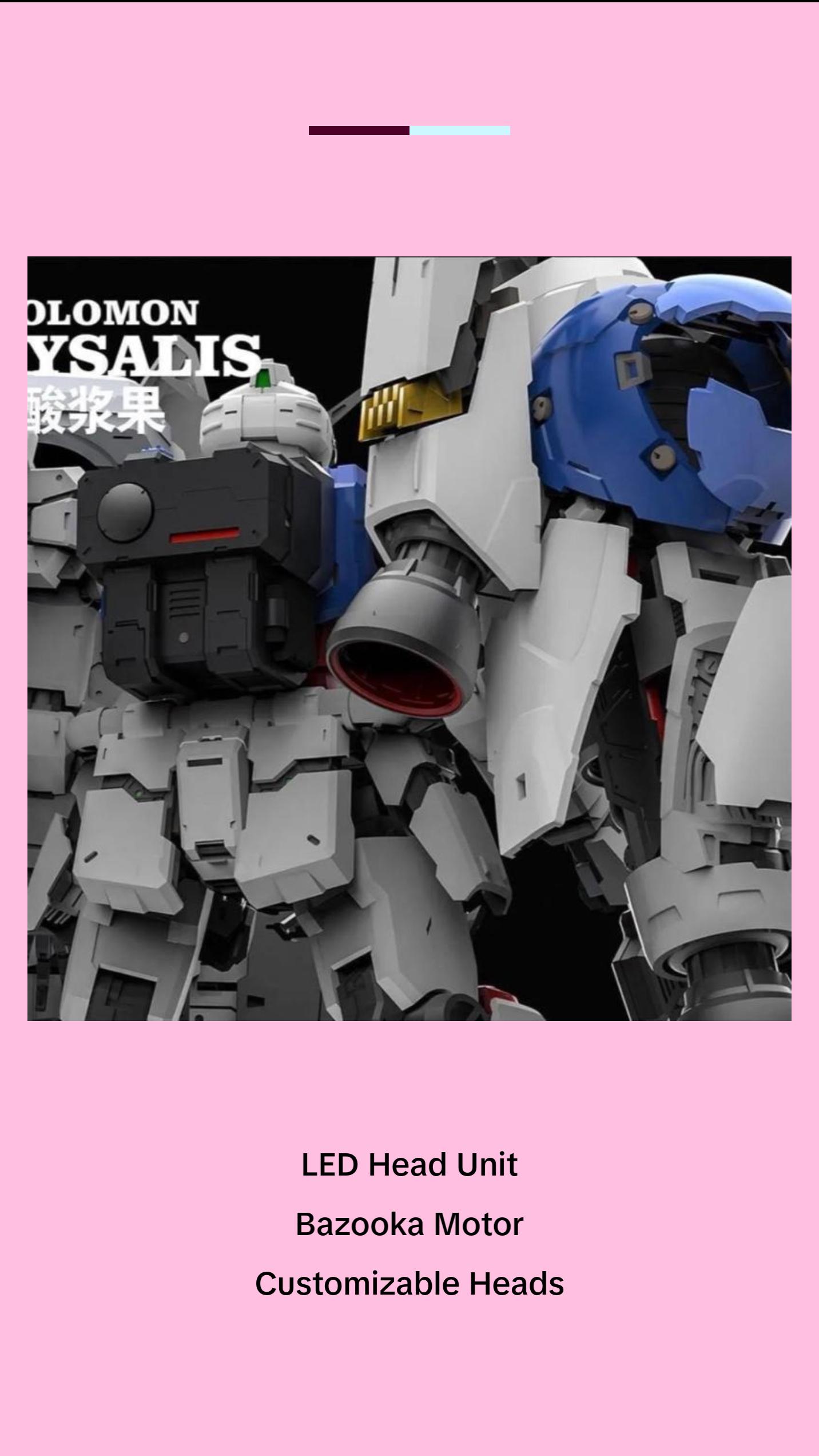 Solomon MG 1/100 Physalis GP02