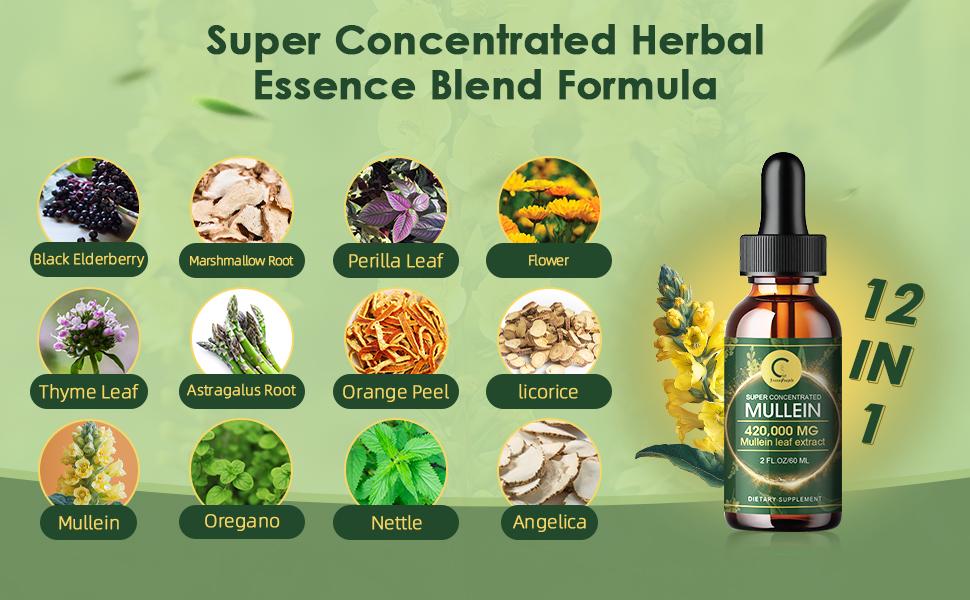 Greenpeople Mullein Leaf Drops for Lungs - Mullein Leaf Extract & Marshmallow Root for Lung Cleanse & Detox -Immune Support Supplement, 2 fl oz Healthcare Vitamin Greenpeople Mullein Leaf Drops for Lungs - Mullein Leaf Extract & Marshmallow Root for Lung Cleanse & Detox -Immune Support Supplement, 2 fl oz Healthcare Vitamin