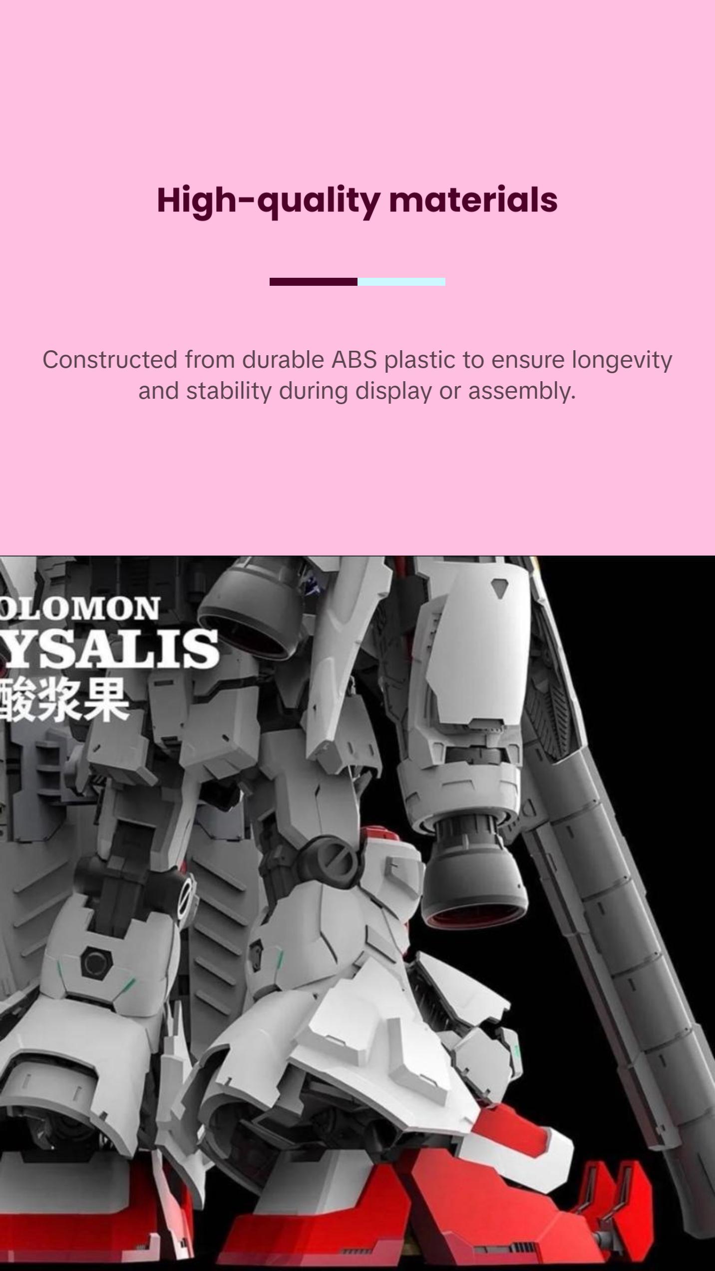 Solomon MG 1/100 Physalis GP02