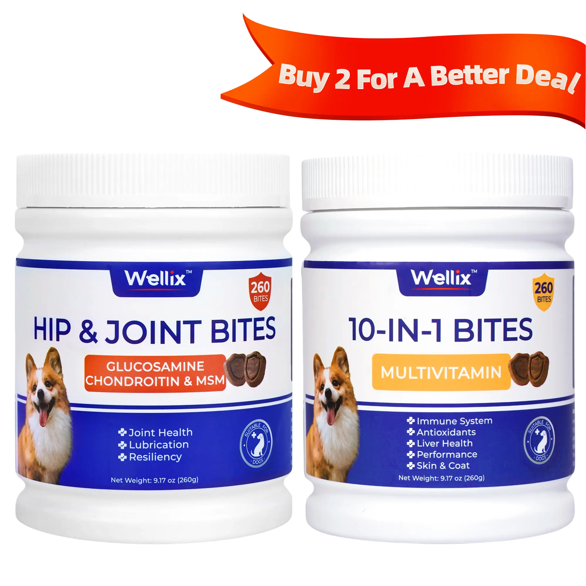 1 Hip & Joint 1 Multivitamin