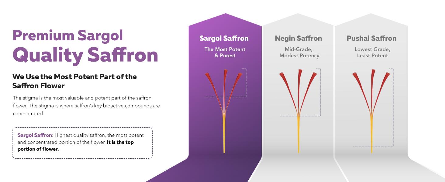 Organic Saffron Extract – Premium Persian Sargol with Safromotivines, Safronal & Crocins – Clinically Validated Formula for Enhanced Mood, Calm & Serenity – 30 Servings Healthcare Natural