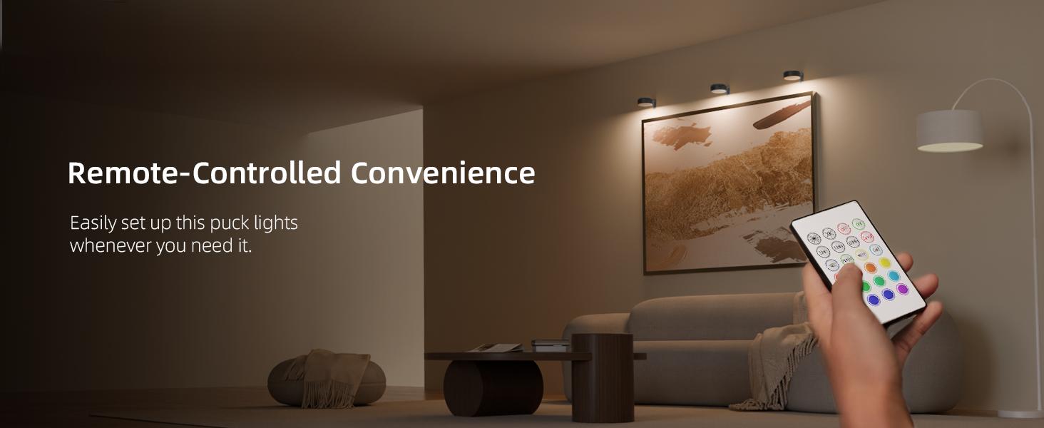 EZVALO Picture Lights for Wall,14 Color(3 Color Temps&12 RGB),2000mAh Rechargeable Battery Magnetic Poster Lights with 2 Color Temps&12 RGB,Remote Dimmable Timer Painting Light,Wall Decor Light for Art Display,Frame EZVALO Picture Lights for Wall,14 Color(3 Color Temps&12 RGB),2000mAh Rechargeable Battery Magnetic Poster Lights with 2 Color Temps&12 RGB,Remote Dimmable Timer Painting Light,Wall Decor Light for Art Display,Frame