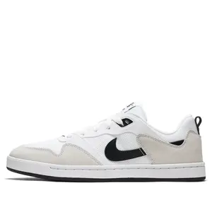 Nike Sb Alleyoop White