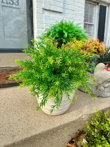 Artificial Spiky Boxwood Bush Faux Greens low maintenance outdoor courtyard yard lawn plants