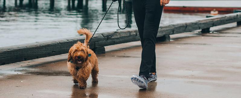 HOBIBEAR Leather-look Spring and Autumn Lightweight Breathable Sneakers Hiking Shoes Water Shoes Quick-Dry Shoes