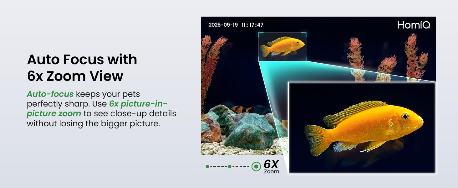 HomiQ Life 3MP 2K Aquarium & Terrarium Pet Camera.Magnetic Install &Close-Focus Lens for Fish,Lizard, Reptile Pet and Window Bird Feeder,2.4GHz & 5GHz WiFi,Color Night Vision,Auto-focus,24/7 Recording