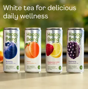 White Tea Sparkling Variety Pack - Happy Being - 16 Pack