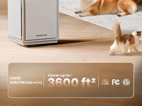 Air Purifiers PB6866 for Large Room Up to 3600 ft² with PM2.5 Air Quality Monitor, Auto Mode, Three-Sided Air Intake H13 HEPA Filter—Air Cleaner for Pet Hair Dander Odor Allergies Pollutant, Quiet Casters Design#TikTokShopBlackFriday Air Purifiers PB6866 for Large Room Up to 3600 ft² with PM2.5 Air Quality Monitor, Auto Mode, Three-Sided Air Intake H13 HEPA Filter—Air Cleaner for Pet Hair Dander Odor Allergies Pollutant, Quiet Casters Design#TikTokShopBlackFriday