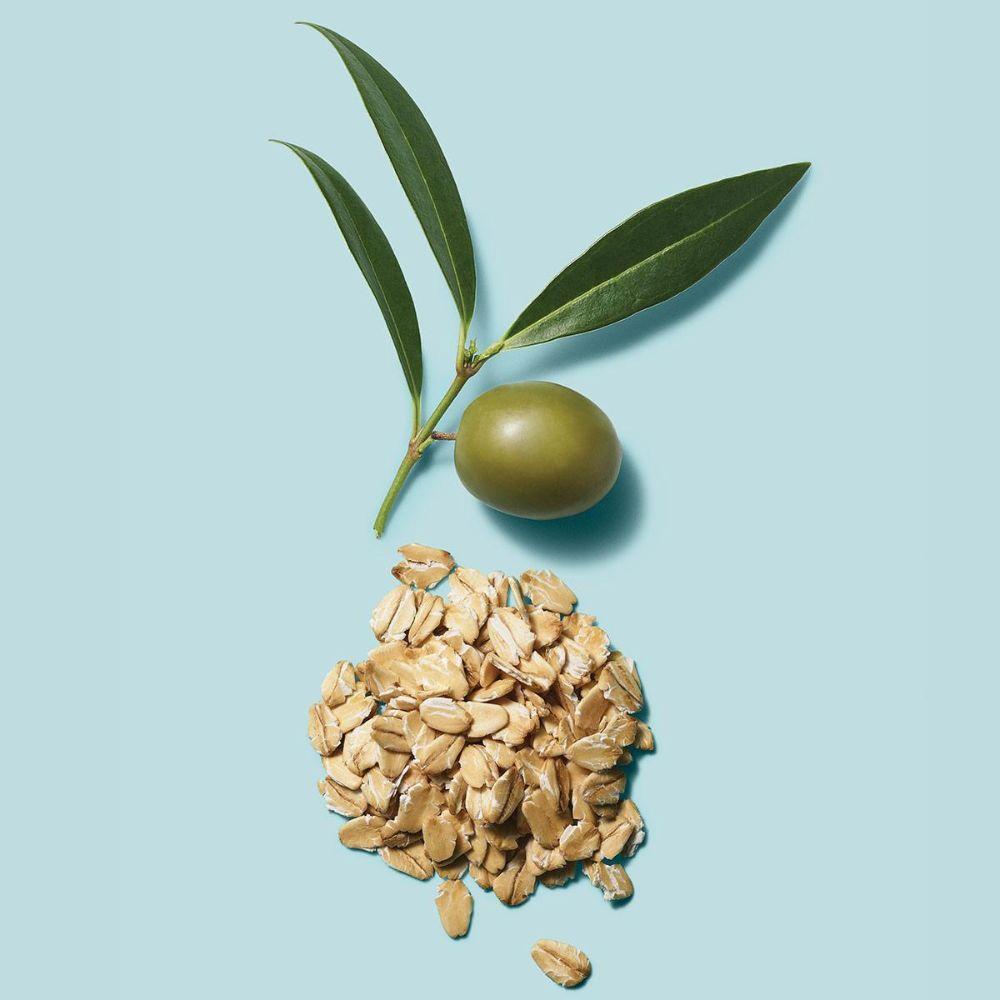 Paul Mitchell Clean Beauty Hydrate Conditioner - 250ml, 92% Natural Origin, Vegan, Bio-Based Plastic, 8.5 fl oz Oat Hydrating Nourishing Olive Organic Haircare Shampoo Cleanser