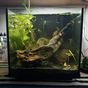 hygger Mini Fish Tank Submersible Heater 20W/75W for 1 -15Gallons Desktop Betta Aquarium Heater with Digital Display Controller Adjustable Temperature