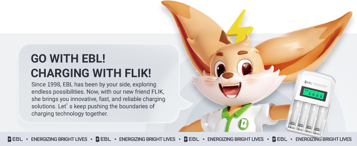 EBL Rechargeable AA AAA Batteries &  Individual Battery Charger Kit