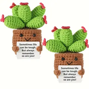 2PCS Handmade Emotional Support Succulent - Mother's Day Gift for Mom - Easter Basket Stuffer 2026 - Room Decor for Women - Positive Crochet Plant - Cute Teen Girl Gift