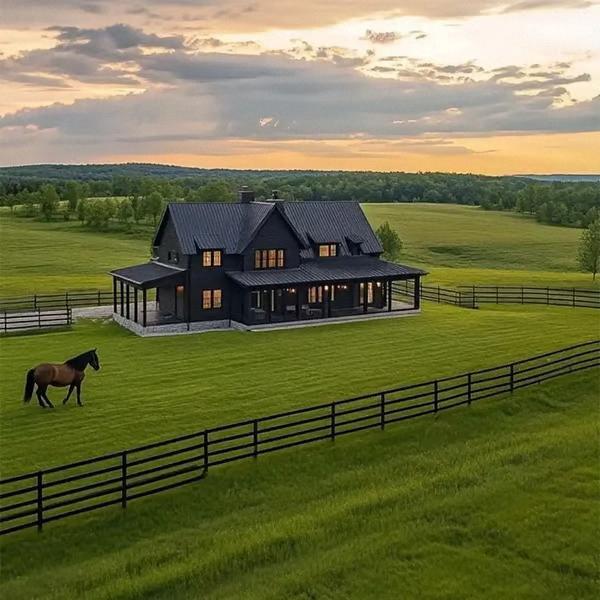 3000+ Premium Perennial grass Seeds – Fast-Growing, Thick, and Lush Lawn Grass for All Seasons