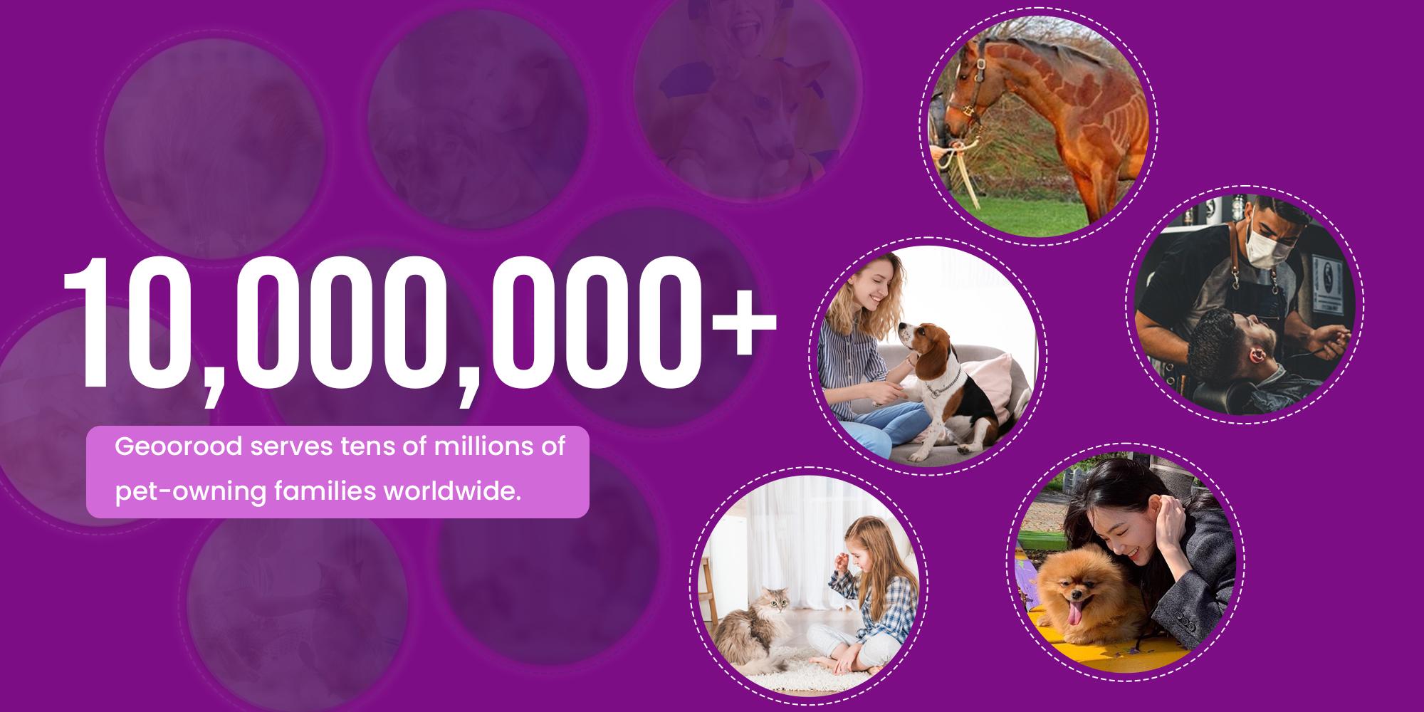 Geoorood Dog Grooming Vacuum All-in-One Kit with 10KPa Suction, 2.2L Dust Tank, Adjustable Combs, Lightweight Design, Perfect for Gifts & Home Use Geoorood Dog Grooming Vacuum All-in-One Kit with 10KPa Suction, 2.2L Dust Tank, Adjustable Combs, Lightweight Design, Perfect for Gifts & Home Use