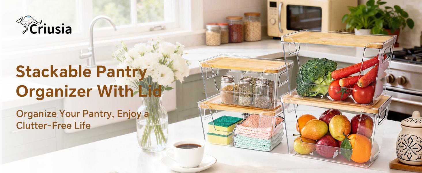 Criusia High-Quality Plastic Food Storage Box with Wooden Lid for Organizing Fruits Vegetables and Spices Transparent Design