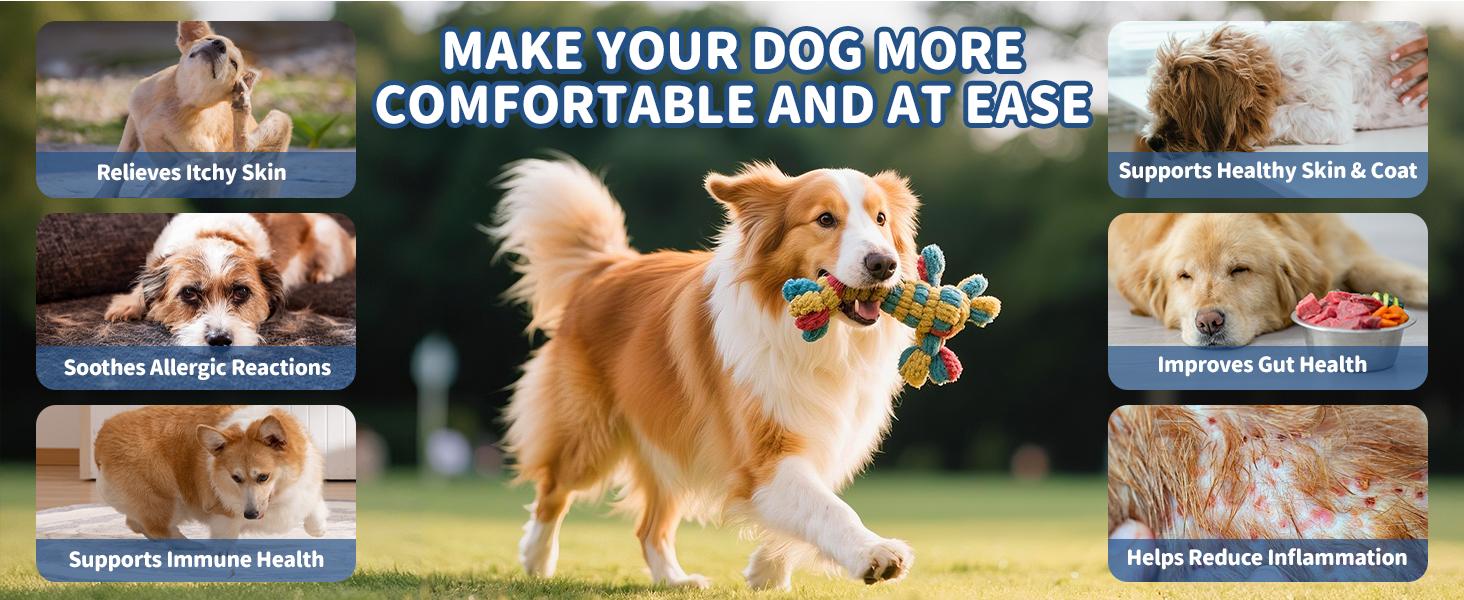 【Upgraded Formula】Allergy&Immune support chews for Dogs,JUMBO SIZE-120ct Chicken Flavor,Topper with Probiotic,Itching Skin and Ears Relief,with Colostrum Fish Oil to Boost Immune&promote Gut Health,Excessive Paw Licking,Natural Allergy Relief-Supplements