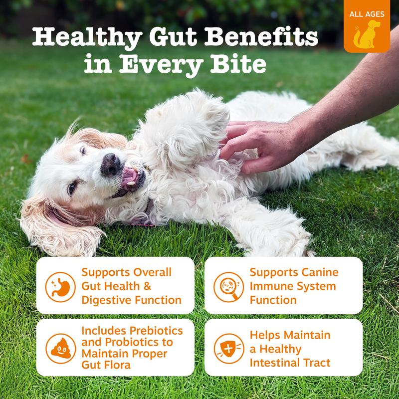 Zesty Paws Probiotic Bites for Dogs - Canine Nutritional Supplement with Six Probiotics for Gut Health & Immune Function