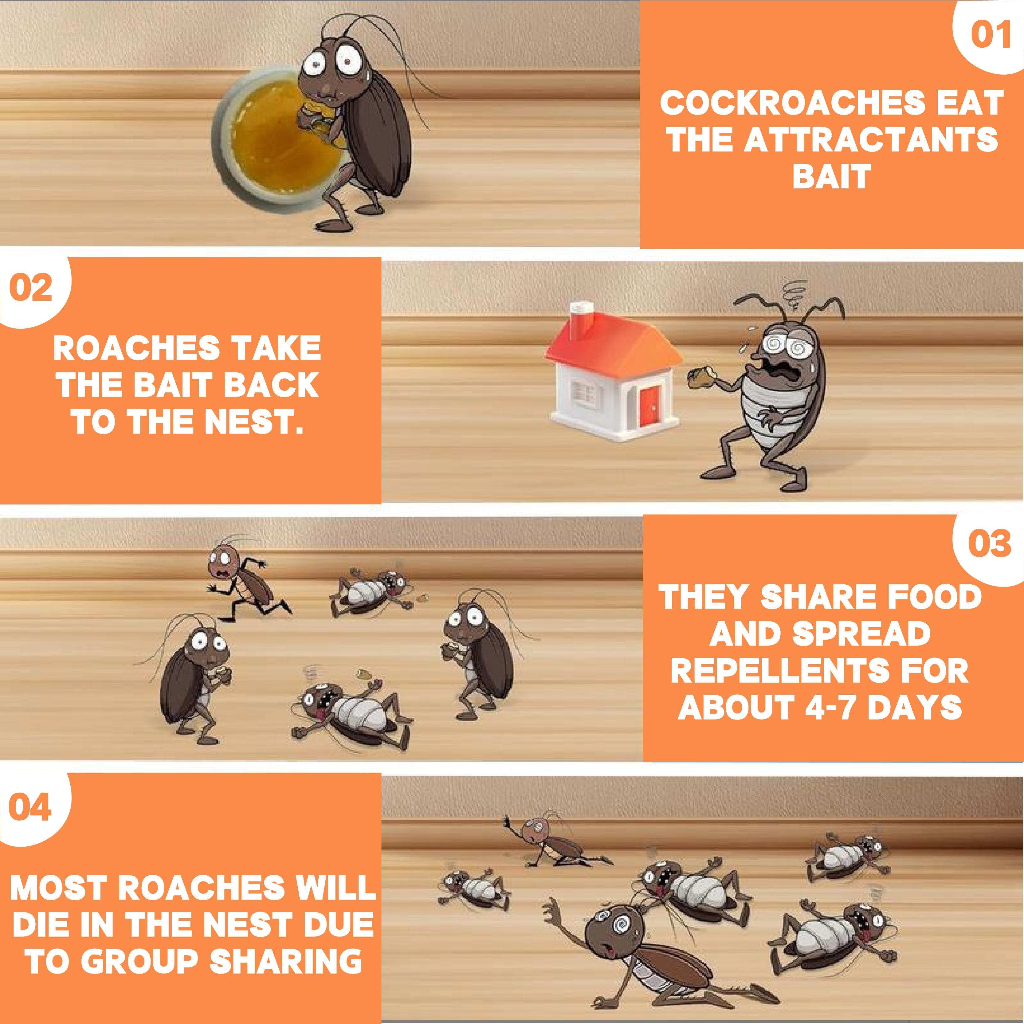 LENDOUYE: Indoor Pest Killing Products, Repellents, Indoor Traps, Insecticides, Bait Stations BD