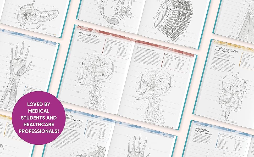 Human Anatomy Coloring Book (2nd Edition) • Premium Anatomical Study Guide for Medical & Nursing Students