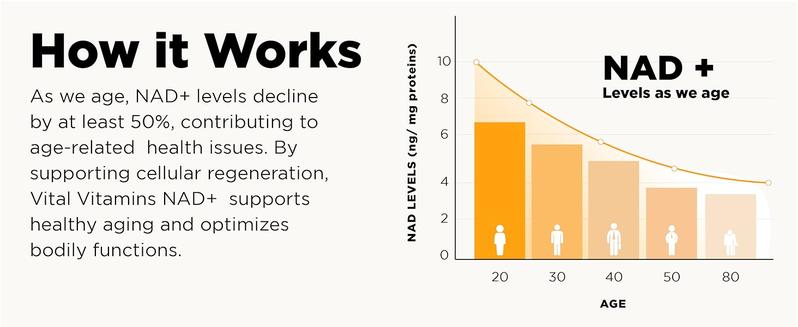 NAD Supplement - NAD+ (Nicotinamide Adenine Dinucleotide) for Men & Women - Made with Liposomal Delivery - Cellular Anti-Aging Support, Energy, Focus - 30-Day Supply