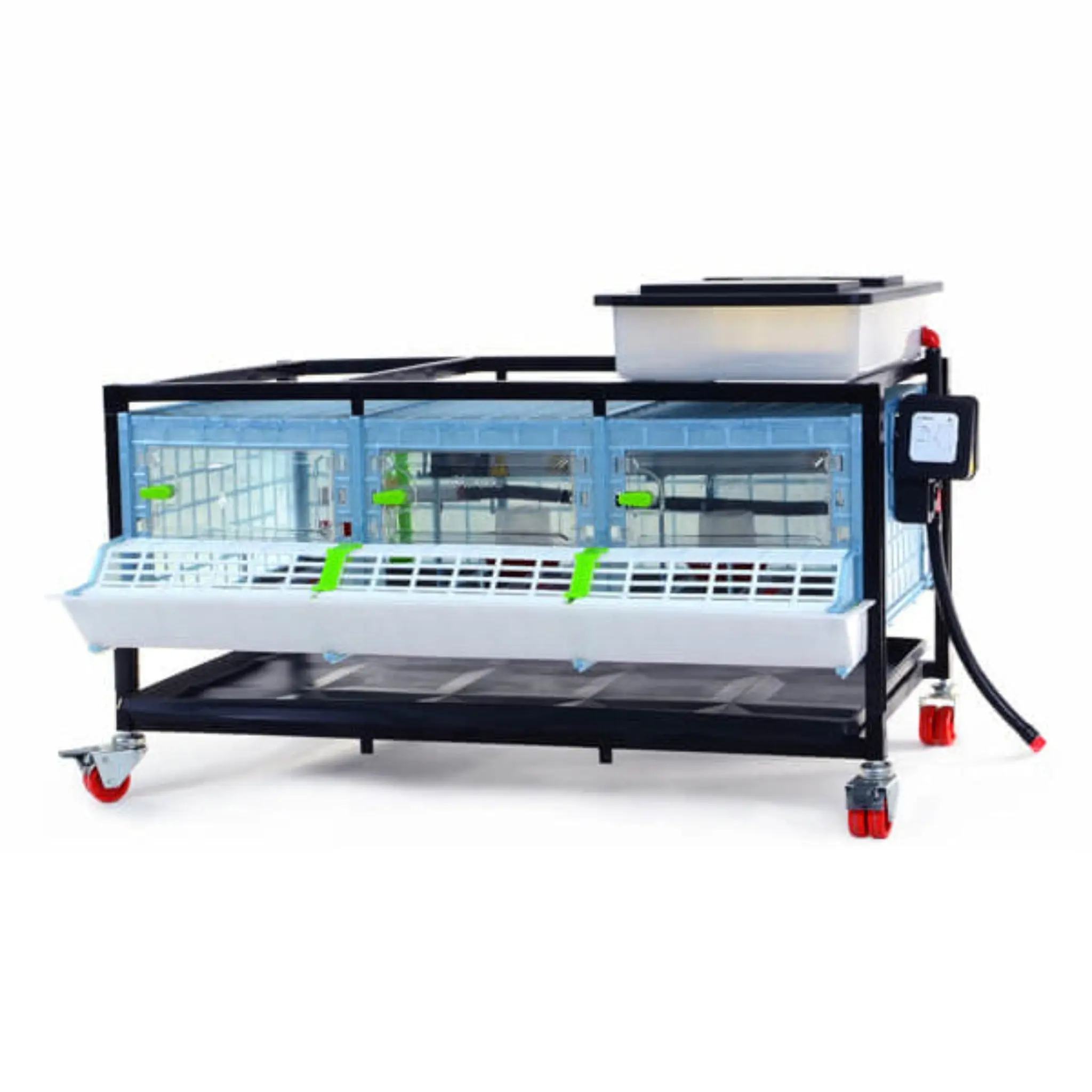 Chick Brooder - 1 Layer H: 9.5" Chick Brooder - 1 Layer H: 9.5"