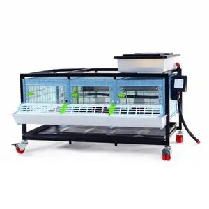 Chick Brooder - 1 Layer H: 9.5"