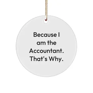 Funny Accountant Gifts from Family, Christmas Unique Circle Ornaments for Office Desk with Because I Am The Accountant That's Why Quote