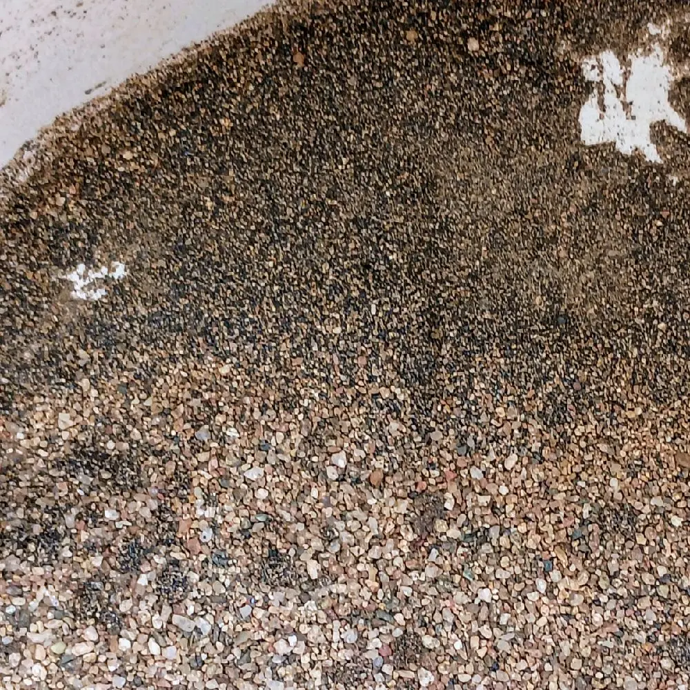 Ancient River Gold Co. Paydirt 1.5lb Real Black Sand Concentrates for Beginners Perfect Practice Gold Panning Ready to Pan