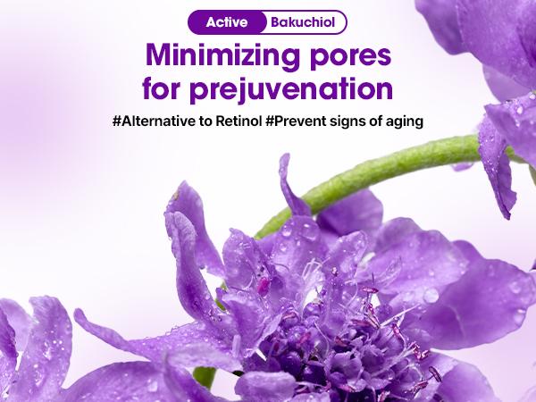 Retinol Bakuchiol Dual Cream – 1.69oz / 50ml – Collagen Moisturizer for Glass Skin with Barrier & Soothing Care – Korean Skin Care