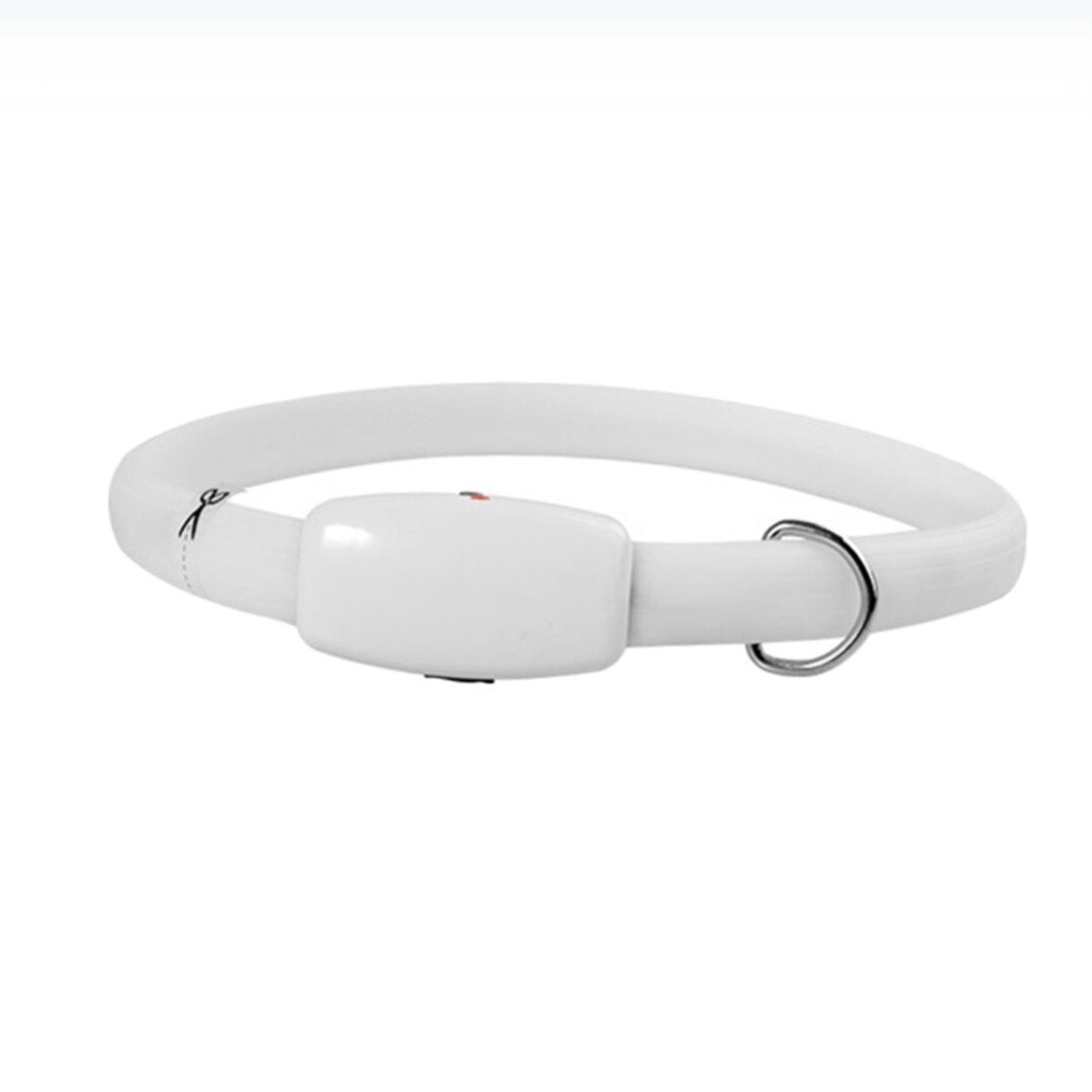 Night Safety Flashing Glow Pet Dog Collar