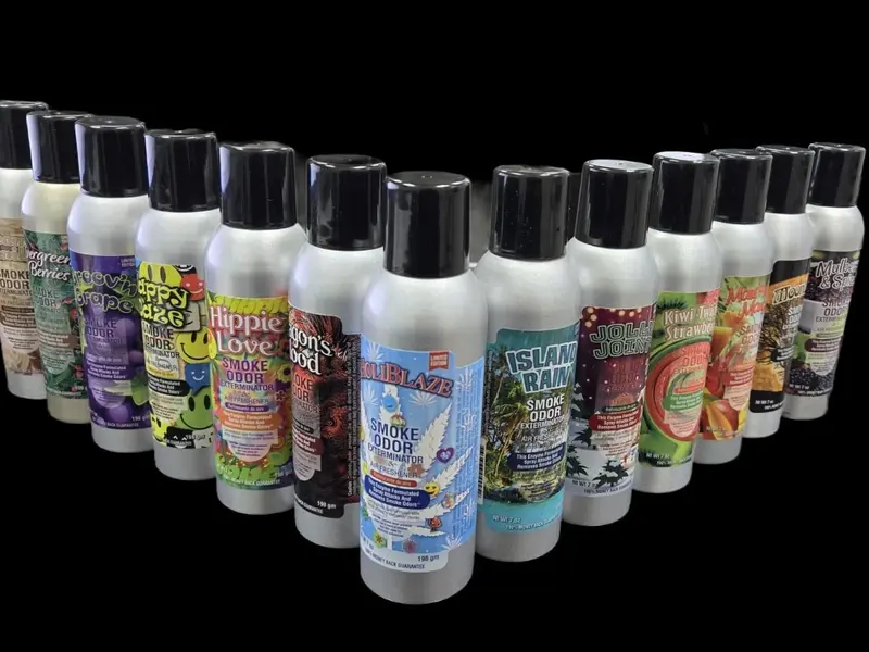 best car odor eliminator for smoke
