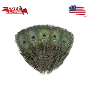 12 PCS Real Natural Peacock Eye Feathers 10-12 inch
