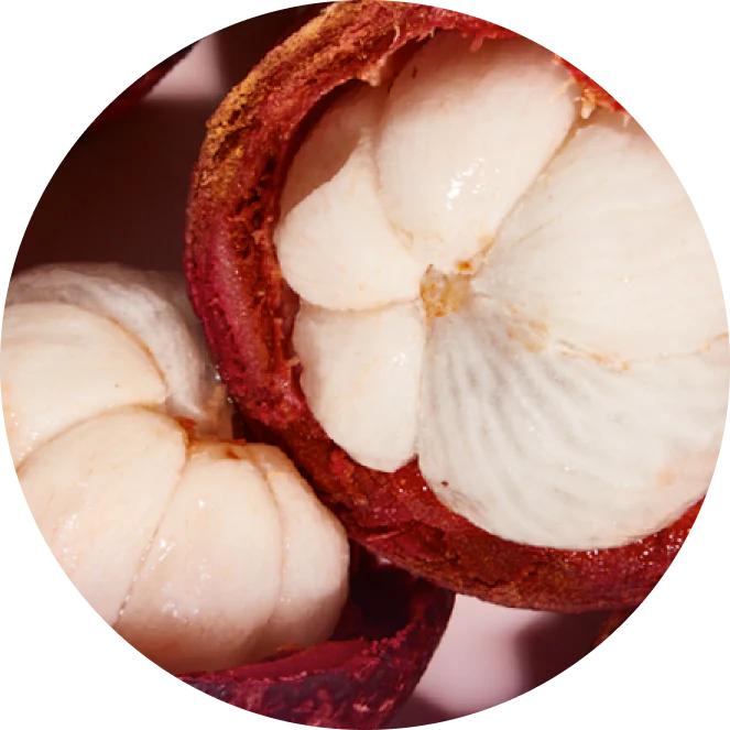 Ultra Hydrating Turmeric Shampoo Natural Moisturizing Herbal