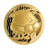 New Yearh Theme Coin (Gold)