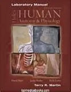 USED-Human Anatomy & Physiology by David Shier (Hardcover)