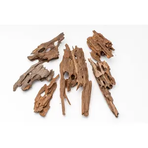 Dragon Wood Dragon Wood