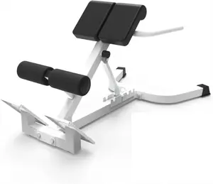 Dual Adjustable Roman Chair, 330 Lbs Capacity Back Extension Bench with Foldable Anti-Slip Base for Core & Lower Back Workout for Home Gym