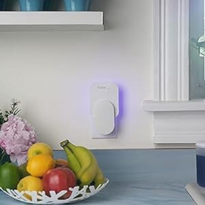 Home SH503 Indoor Plug-In Fly Trap Refill Pack of Glue Cards for SH502 Indoor Fly Trap – 3 Count (Pack of 1)