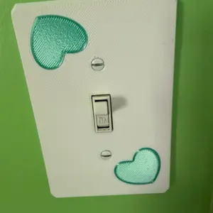Single Light Switch Cover