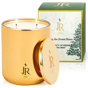JR Luxury Candle Wild Pine Cedarwood & Ginger Coconut Apricot Wax Hand Poured with Tiger Eye Gemstone Non Toxic Long Lasting Decor Ornament