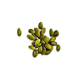 ALOHA Chocolate Protein Powder - 15 Servings - Certified USDA Organic - 100% Plant-Based - 18g Of Protein