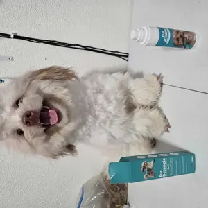 Pet Detangling Spray — Anti-Static, Long-Lasting Volumizing, Nourishing, Smooth Coat Essence Spray