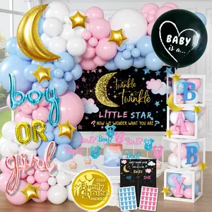 Gender Reveal Party Set – Twinkle Little Star Theme