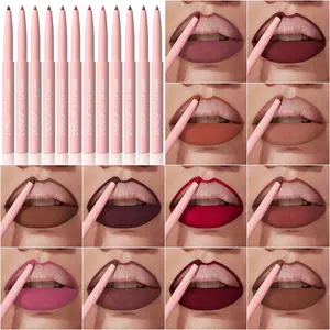DUNUF Waterproof Lip Liner Set, 12pcs/set Matte Easy ColoringLip Liner Pencil, Suitable for All Occasions Lip Makeup.Girls and Women Makeup Accessories, Cosmetic