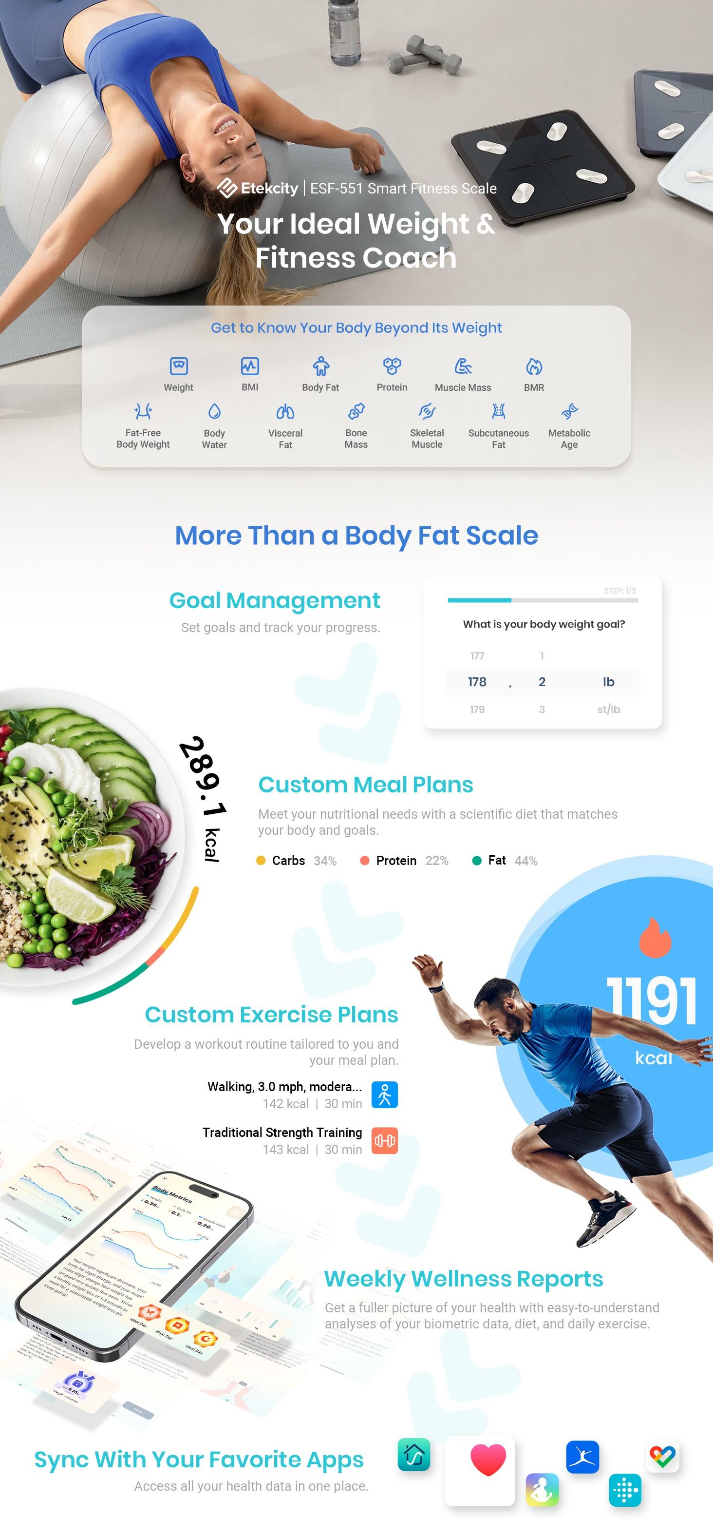 Etekcity Smart Body Fat Scale with BMI, Body Fat, Muscle Mass, Accurate Bluetooth Home User Health Equipment, TikTokShopHolidayHaul Deal - Smartscale ESF-551