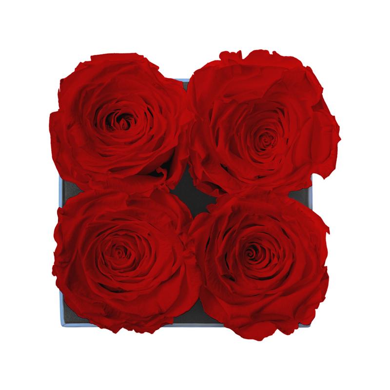 Sovelle OXS  - Valentine's Day Collection