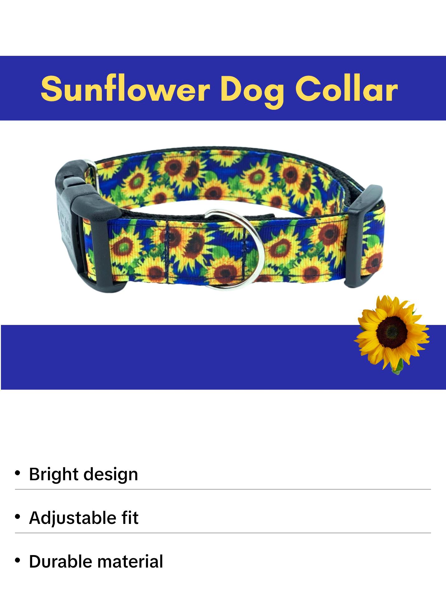 Bright Blue Sunflower Dog Collar