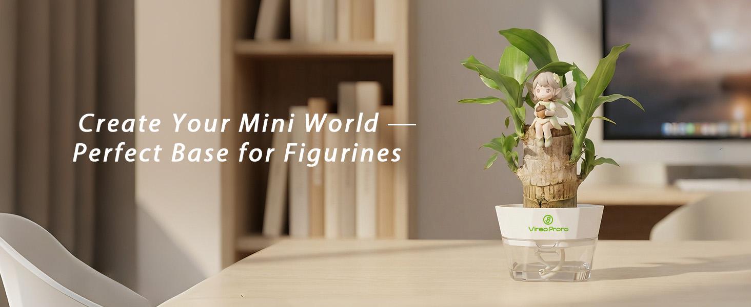 Brazilian Lucky Wood Live Plant - U.S. Grown with Nutrient Solution, Minimalist/Boho Indoor Desktop Ornament, Low-Maintenance Lucky Plant