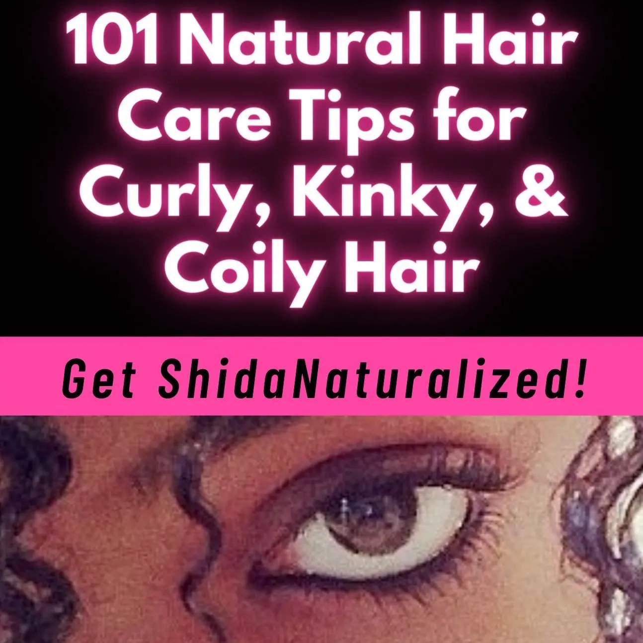 101 Natural Hair Care Tips for Curly, Kinky & Coily Hair - Get ShidaNaturalized! Book