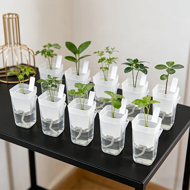Mini transparent automatic watering flowerpot, irregular shape, with water level indicator and drainage hole, PP plastic, used for succulents, air plants, Self Watering System